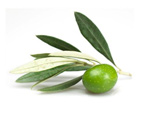 Maseczka z glinki i oliwy z oliwek